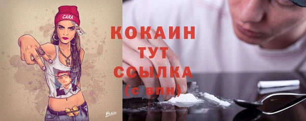 крисы Белокуриха