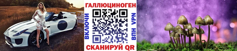 Купить  Нестеров  Галлюциногенные грибы Psilocybine cubensis 
